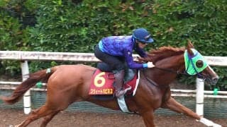 【秋華賞】京都３戦３連対スウィートハピネスは佐々木大輔騎手を背に力強い脚取り「動きはシャープになったかな」