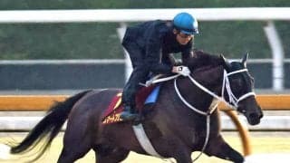 【秋華賞】スマートプリエールは馬なりで鋭伸　初コンタクトの幸英明騎手「やっぱりいい馬だなと感じました」