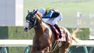【注目馬動向】ダイヤモンドノットは阪神Ｃで重賞連勝狙う　エルトンバローズ＆ジュンブロッサムは天皇賞・秋へ