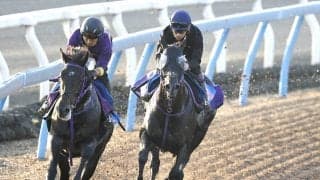 【富士Ｓ】躍動感が増したトロヴァトーレは狙い通りの仕上がり　鹿戸調教師「ちょうどいい体に仕上がっている」