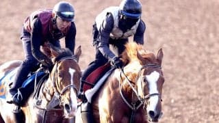 【秋華賞・追い切り】トライアル好走の勢いは本物　サムシングスイートが併せ馬で先着　伊藤大調教師「今までで一番よかった」