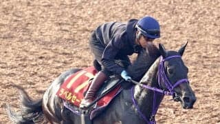 【秋華賞】ラベルセーヌは単走で活気十分　荻野極騎手「俊敏に動けるところがあるし軽いタッチで走る」
