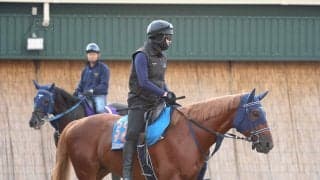 【富士Ｓ】転厩初戦エコロアルバは坂路を力強く登板　好仕上がりアピール　手塚久調教師「さすがの動き」