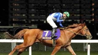 ブラフキャッチが鎌倉記念優勝　高月賢一調教師「川崎の馬が、川崎の重賞に川崎のジョッキーで勝った」３連単２５万円超の波乱