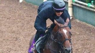 【富士Ｓ・調教後談話】アドマイヤズームはＧ２連勝へ納得の仕上がり　重賞４勝目のかかるトロヴァトーレ陣営などのジャッジは…