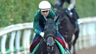 【秋華賞】「息を乱すことなく平然と…」無敗モンローウォークは坂路で軽快な走り　上村調教師「スターホースになっていけるだけの資質」