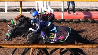 【菊花賞・１週前】２冠馬ロブチェンは主戦を背に上々の仕上がり　松山弘平騎手「先週よりグンと良くなりました」