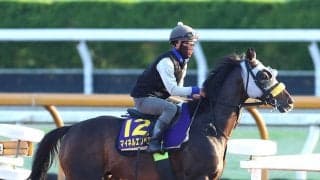【注目馬動向】マイネルエンペラー、ショウナンラプンタ、ファミリータイムはアルゼンチン共和国杯に向かう