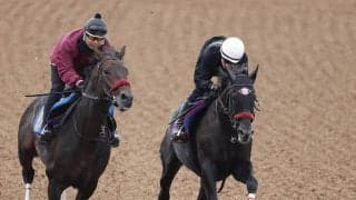 【東京ハイジャンプ】王者エコロデュエルが秋初戦へ順調　ＪＧ１馬の制覇ならオジュウチョウサン以来　草野太郎騎手「例年の状態にはある」