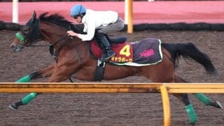 【秋華賞】桜花賞２着以来のギャラボーグは半年ぶりでも活気十分　杉山晴調教師「世代でも上位の力を持っている」