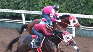 【ＰＯＧ】フォーエバーヤングの弟ヤングリッチが１８日の京都芝２０００メートルで初陣　矢作調教師「芝でも走れるじゃなくて...」