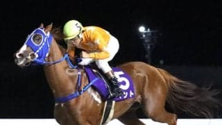 【ゴールド争覇・名古屋】シャマルを撃破！　ベントが重賞３連勝　今井貴大騎手「この馬はまだまだ強くなる」