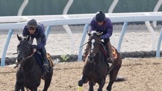 【秋華賞】ドリームコアは１週前から一変し確実に上昇　田中博調教師「競馬に行って促したときに反応が出るイメージ」