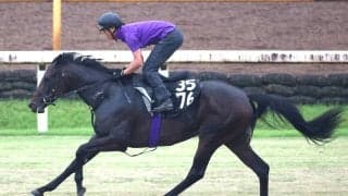 【アイビーＳ】ミックスセール２億円馬ホウオウモノポリーが出世レースＶへ　友道調教師も期待「センスがある」