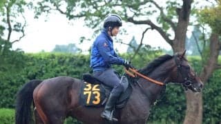 【ＰＯＧ】母は海外Ｇ１好走！ジェットシェヴロンが１７日の東京・芝１８００メートルで初陣　宮田調教師「順調に乗り込んでいます」