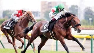 【ＰＯＧ】絶好調のエフフォーリア産駒エフティヒアがデビュー　藤野調教師も「初戦から力を出せます」と自信