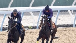 【秋華賞】母は国内外Ｇ１・２勝の超良血馬が前走比２１キロ増　調教後馬体重が発表　オークス２着馬ドリームコア