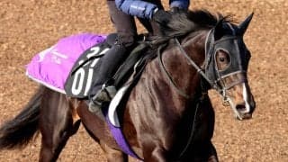【注目馬動向】５・９億円馬エムズビギンは岩田望来騎手との新コンビで菊花賞へ　友道調教師「調教にも...」