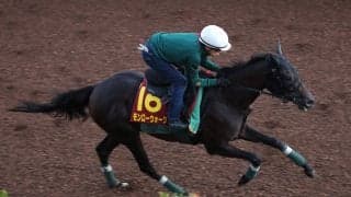 【秋華賞・金曜気配】「絶好枠」モンローウォーク８番枠　上村調教師は「みんな何か欠点を探そうとするんやけど…」
