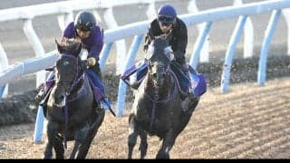 【富士Ｓ・金曜気配】トロヴァトーレは内目の枠から巻き返す　最終調整を完了し鹿戸調教師は「スタートだけですね」