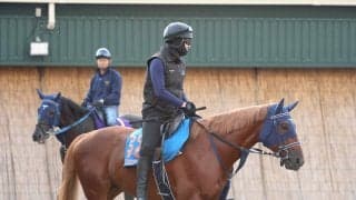 【富士Ｓ・金曜気配】転厩初戦のエコロアルバは調教を工夫し行き脚を求める　手塚久調教師「十分に仕上がった」