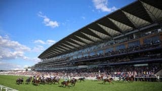 【英チャンピオンズデー】アスコットは良馬場見込み…3.5mmの降雨も開催当日は雨の予報なし