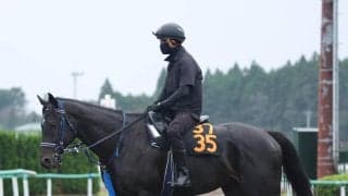 【１７日の注目・東京４Ｒ】父ダノンスマッシュの代表産駒になれる器　東京の直線に稲妻が走る