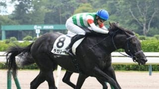 【１７日の注目・東京９Ｒ】クラシックへの登竜門として注目　ドウデュース、マスカレードボール…に続くのは前走で激変したキズナ産駒だ