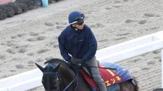 名牝レイチェルアレクサンドラ、Ｇ１・１０勝のゴールデンシックスティなどを送り出した名種牡馬メダグリアドーロ２７歳で死す　その血を母の父に持つ秋華賞出走馬は…
