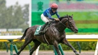 【富士S予想】マイルCSへの前哨戦 切れ味求められる東京芝1600m