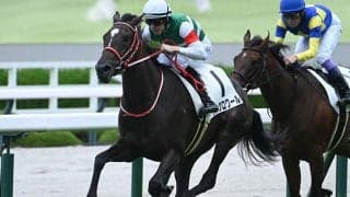 【アルテミスS想定馬・騎手】リスグロワール、シティオブドリームなど14頭