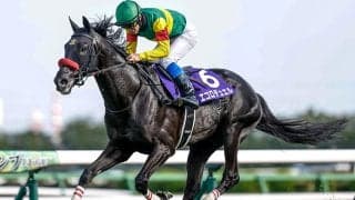 【東京HJ枠順確定】エコロデュエルは6枠6番、ジューンベロシティは8枠9番