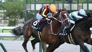 半姉は二冠牝馬チェルヴィニア チェルヴァーラが3連勝なるか