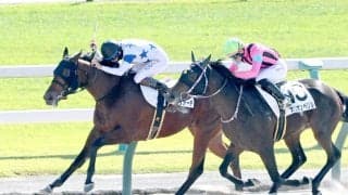 【京都６Ｒ・２歳新馬】チュウワアーチが激しい競り合いを制す　松山弘平騎手「３着馬を９馬身離していますし…」