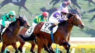 【東京５Ｒ・２歳新馬】ルメール騎手が「伸びしろある」と期待　ファインルージュの初子ソーロブストが快勝デビュー　