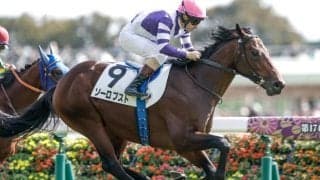 【東京5R新馬戦結果】レイデオロ産駒ソーロブストが断然人気に応えてV