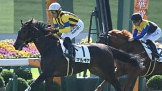 【京都5R新馬戦結果】キズナ産駒マルキアが突き抜け完勝