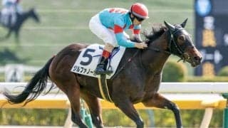 【東京4R新馬戦結果】ジルファノーガが断然人気に応えて完勝 ピナトゥボ産駒のJRA初勝利
