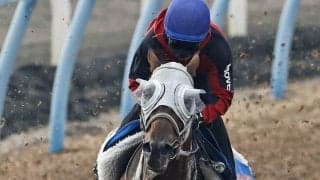 土曜東京競馬場の注目激走馬…東京１１Ｒ富士ステークス・Ｇ２