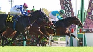 【東京９Ｒ・アイビーＳ】単勝１・９倍のコラリオン強襲届かず…勝ったのは１１番人気の伏兵キャピタルストーン　