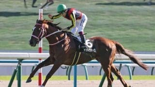 【京都１０Ｒ・清滝特別】力の差を見せつけたチェルヴァーラが３連勝！　西村淳也騎手「終始楽でした」