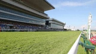 単勝１２５・９倍の最低人気馬が芝替わりで激変！大荒れの新潟８Ｒに「マジで買えない」「ここまで走りが…」