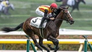 【秋華賞予想】牝馬三冠最終戦はディープインパクト系の種牡馬が苦戦！ 右回りにも不安を抱える軽視すべき人気馬