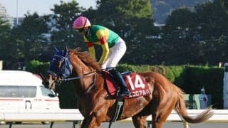 【富士Ｓ・各陣営コメント】大外枠から３着エコロアルバ　坂井瑠星騎手が「今までにないくらい」と評価したポイント