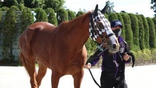 【秋華賞】輸送慣れしているサムシングスイートは堂々と到着　陣営「特に問題もなく落ち着いていましたよ」