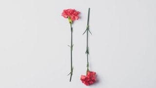 妊活について、具体的に何をする？