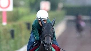 「ここまでとは…」「マジかよｗｗｗ」Ｇ１初挑戦馬の断トツ人気にネット騒然　秋華賞出走モンローウォーク