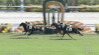 「ちっちゃかわいい」「推せる」386kgの小柄牝馬が“豪快差し”デビューV！ ファン驚き「小さいのに凄い脚」