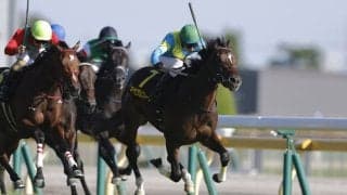 【アイビーS】11番人気キャピタルストーンが波乱の連勝V！名馬輩出の出世レースで大金星