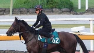 【１８日の注目・京都２Ｒ】日本ダービー馬の半弟がダートで大化けの可能性　デビュー２戦目で初砂投入
